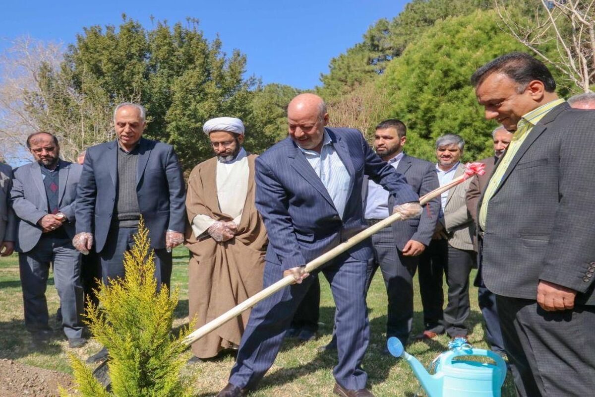 کاش