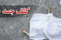 هویت جسد کشف شده در پارک جنگلی ملایر مشخص نیست