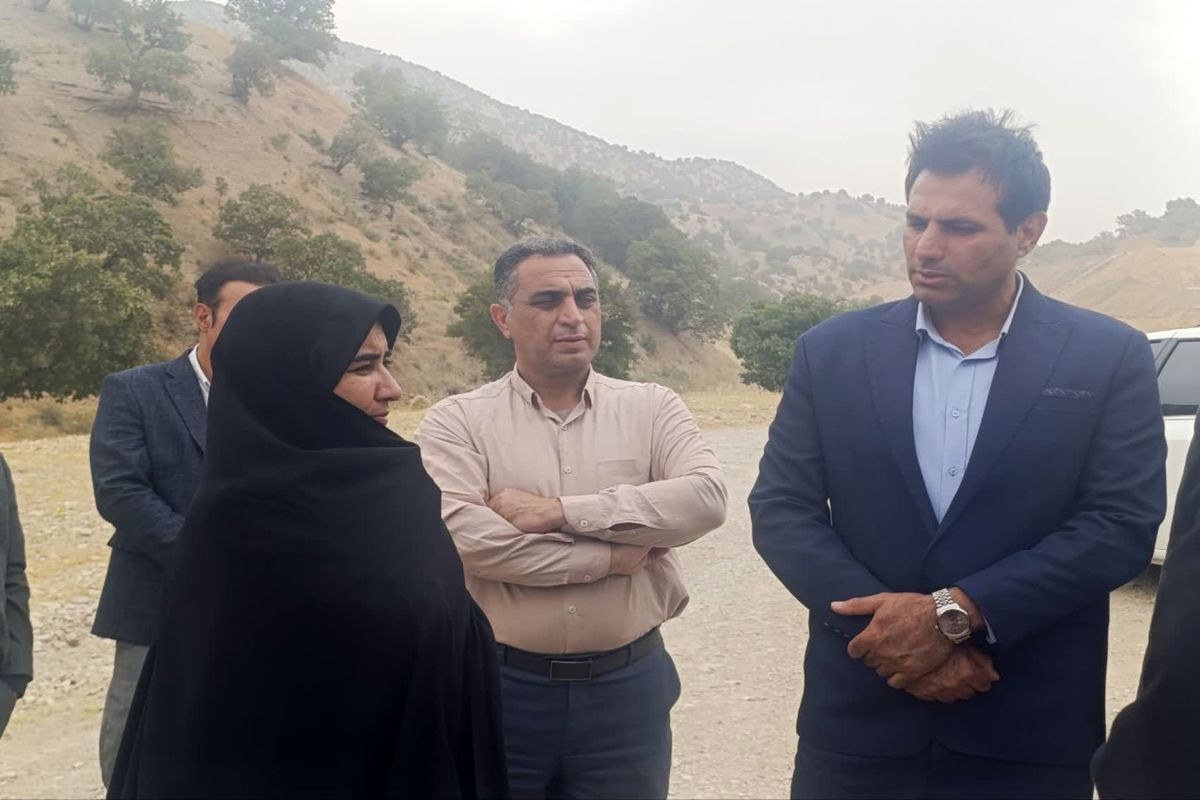 بلزدید