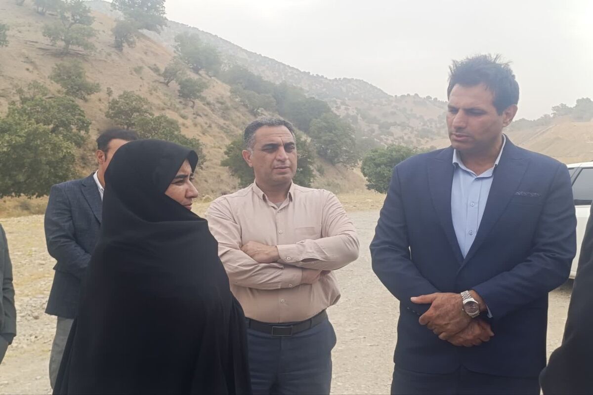 بلزدید