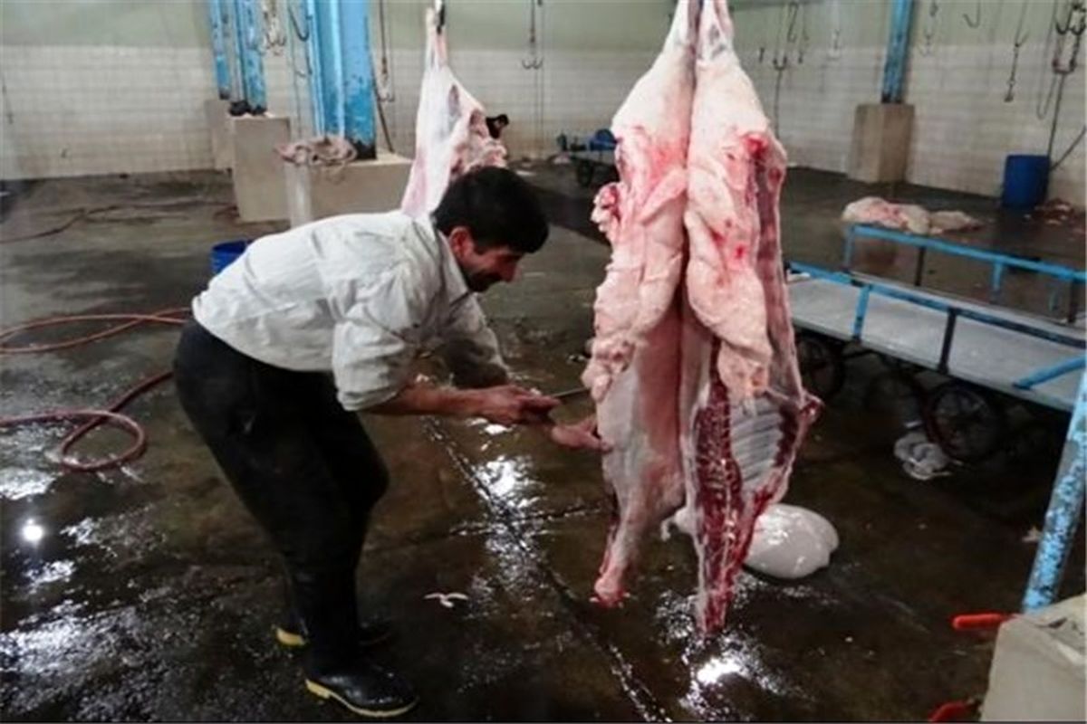 کشتارگاه - هرمزگان