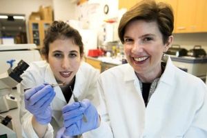 تسریع فرایند بهبود مبتلایان به حمله قلبی با وصله چاپی