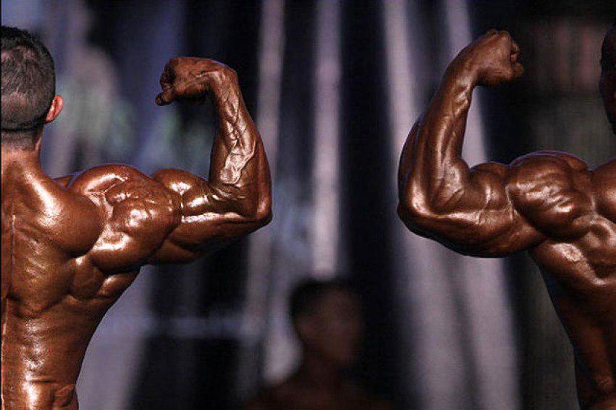 پرورش اندام