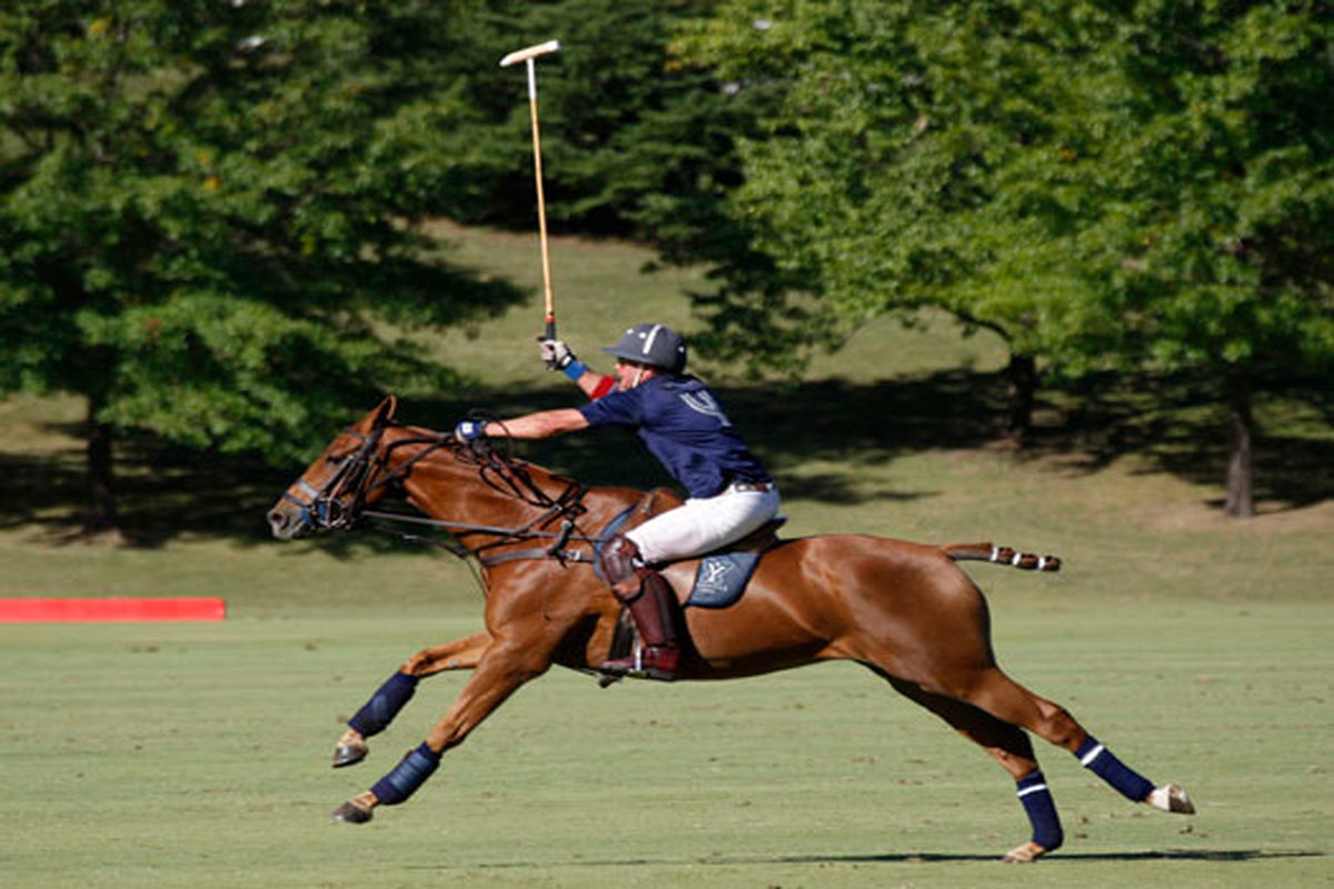 مدیرکل ورزش و جوانان گیلان در دیداربا اعضای هیات چوگان