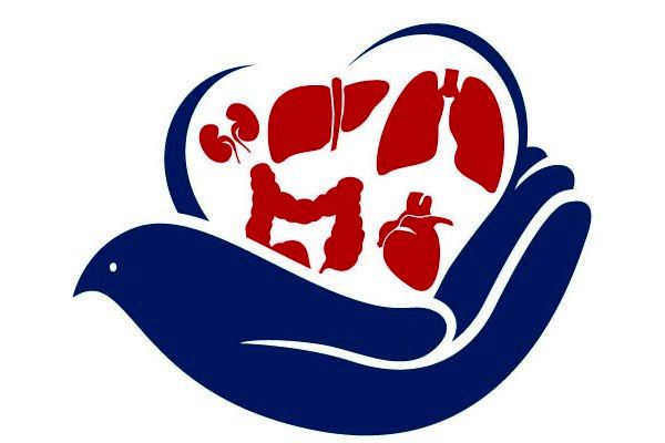 اعضای بدن یک شهروند قمی اهدا شد 