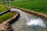 الگوی کشت تابستانه خوزستان به تصویب رسید