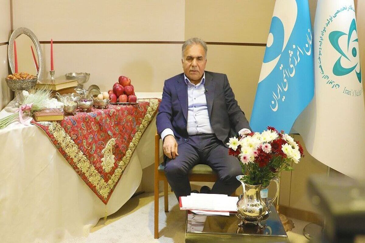 سیدجواد احمدی، معاون سازمان انرژی اتمی ایران