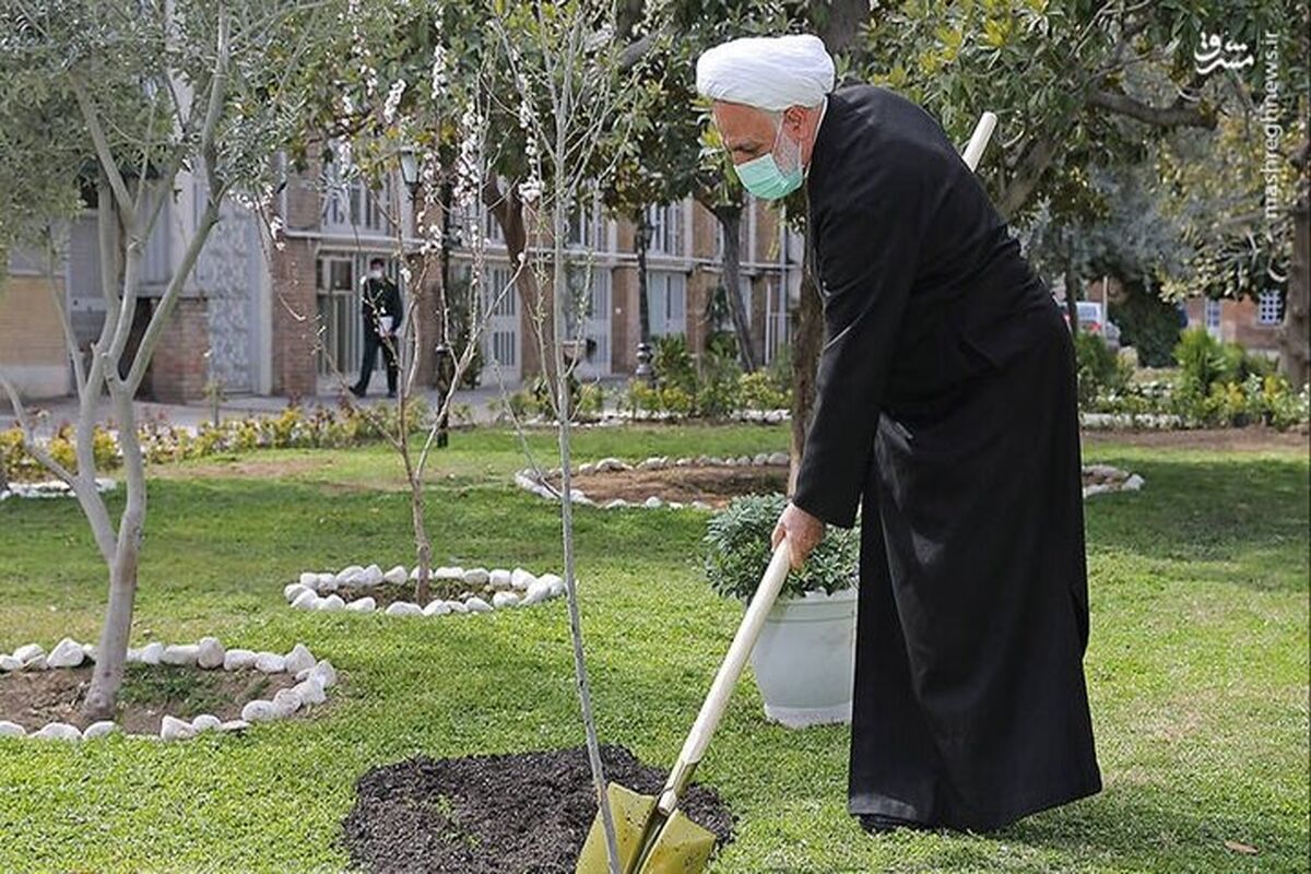 رییس قوه قضایی کاشت درخت