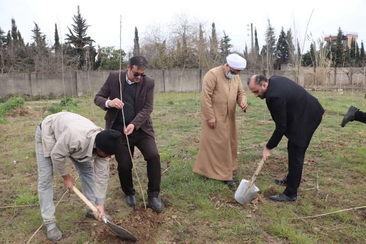 کاشت درخت در امامزادگان مازندران + اوقاف