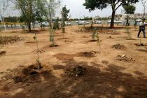 احداث ۱۱ هزار مترمربع فضای سبز در تقاطع غیرهمسطح میدان امام حسین(ع)