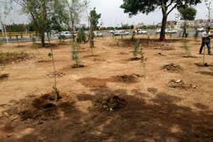 احداث ۱۱ هزار مترمربع فضای سبز در تقاطع غیرهمسطح میدان امام حسین(ع)