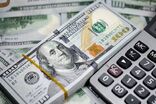 افزایش قیمت دلار و یک الزام راهبردی برای اقتصاد ایران