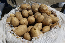 ۲‌ هزار و‌ ۱۷۰ تن سیب زمینی احتکار شده در شیراز کشف شد