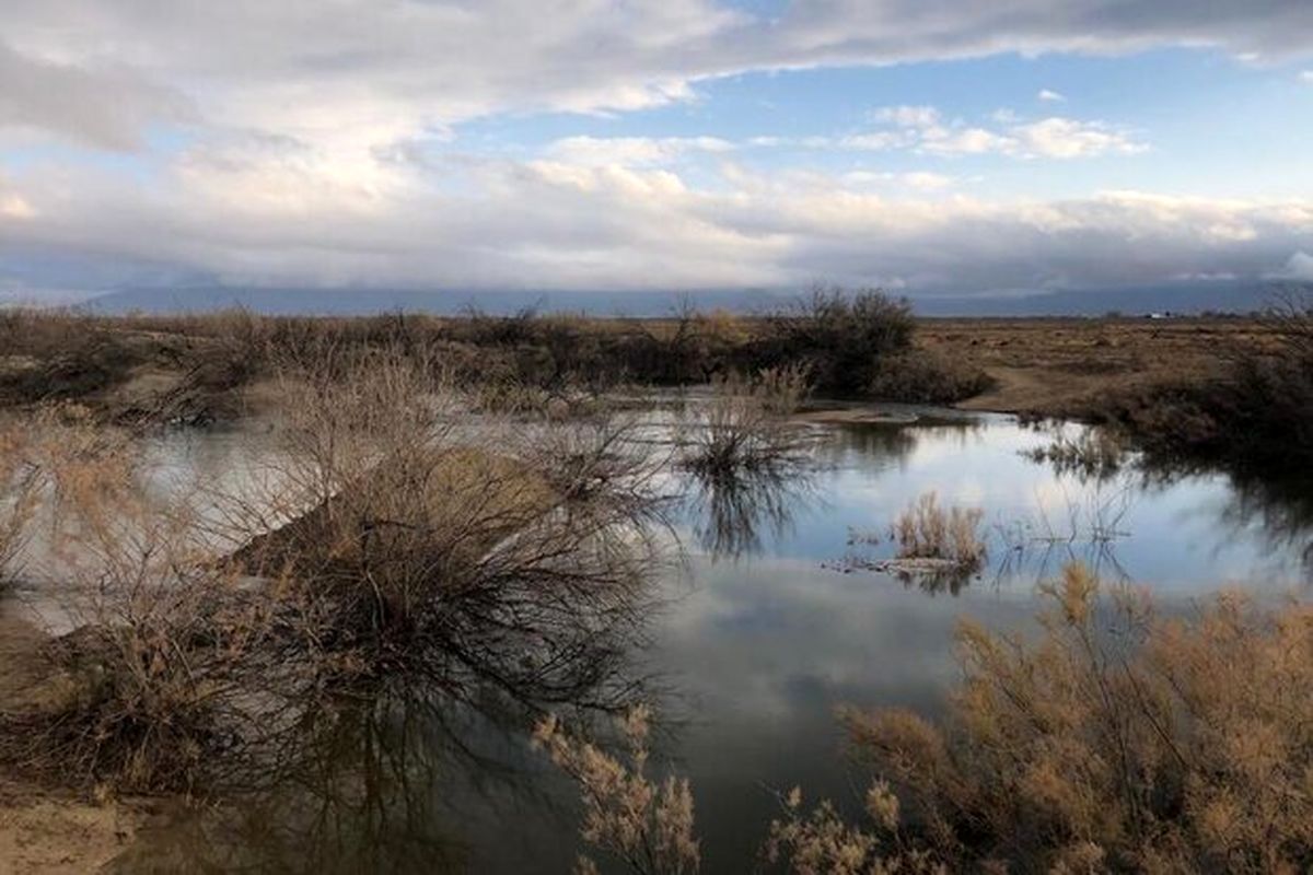 تالاب های فارس 