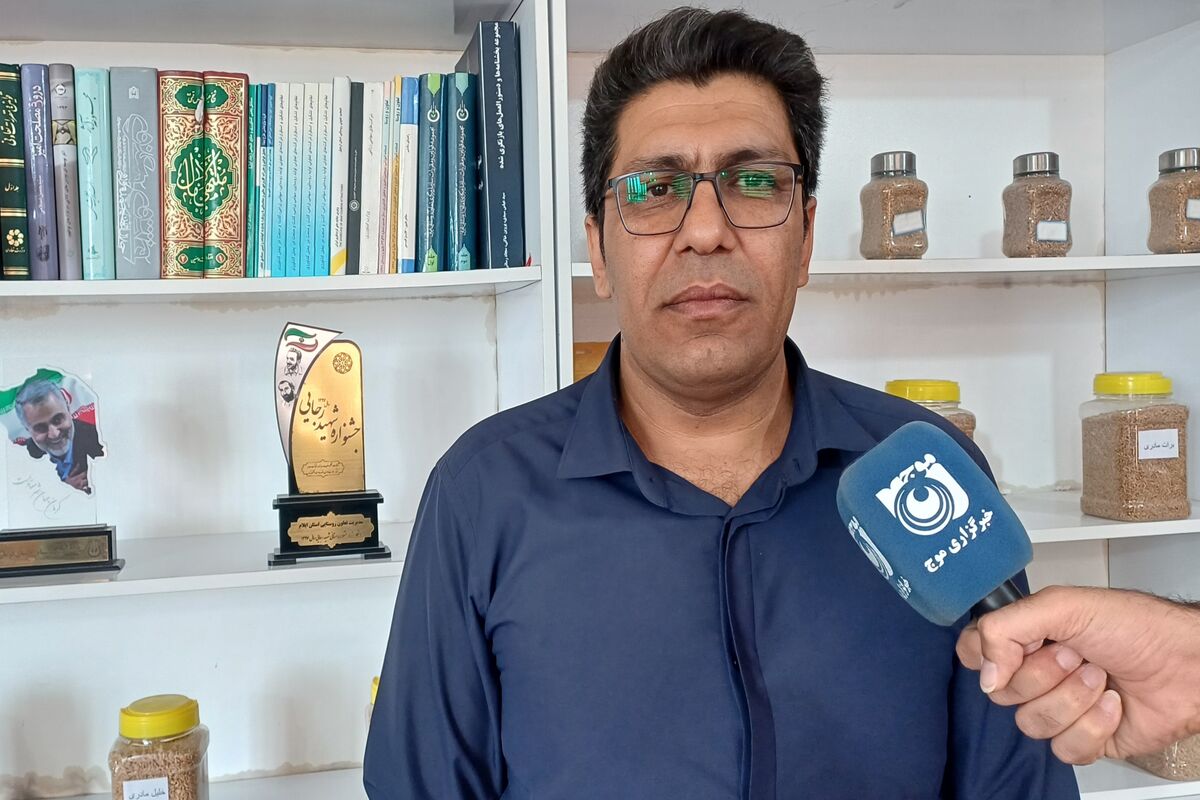 محمدی
