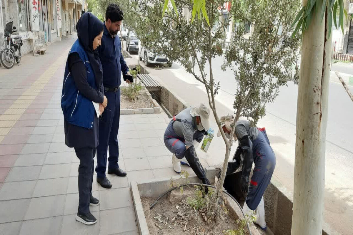 شهرداری قم