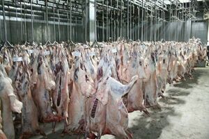 رعایت کامل پروتکل‌ های بهداشتی در کشتارهای عید قربان