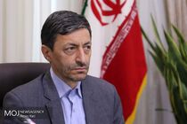 سرعت کار در پلاسکو خوب است / شهرداری مانع ساخت پلاسکو نشد