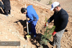 مدارس در نهادینه کردن درختکاری و حفظ منابع طبیعی بکوشند