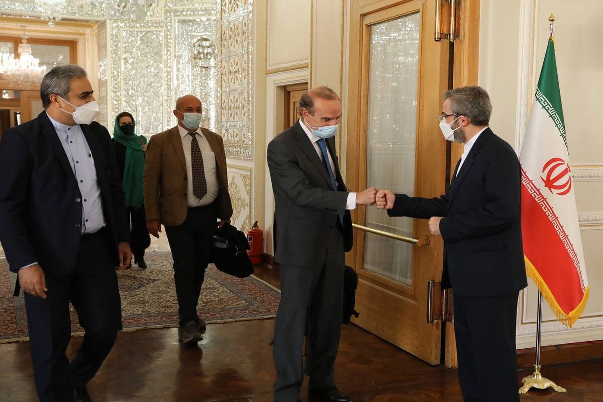 علی باقری