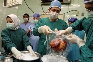 انتظار 400 بیمار استان اصفهان برای پیوند عضو در اصفهان