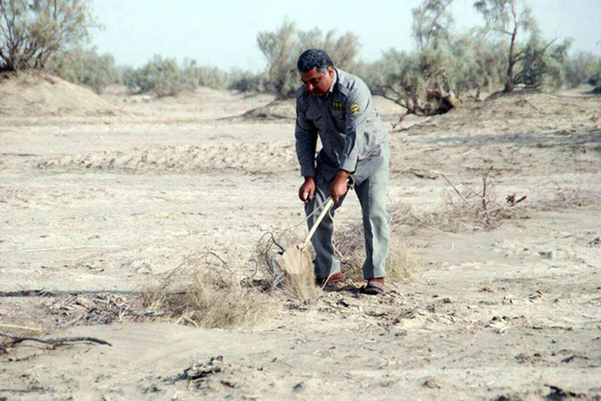 تله در محیط زیست 