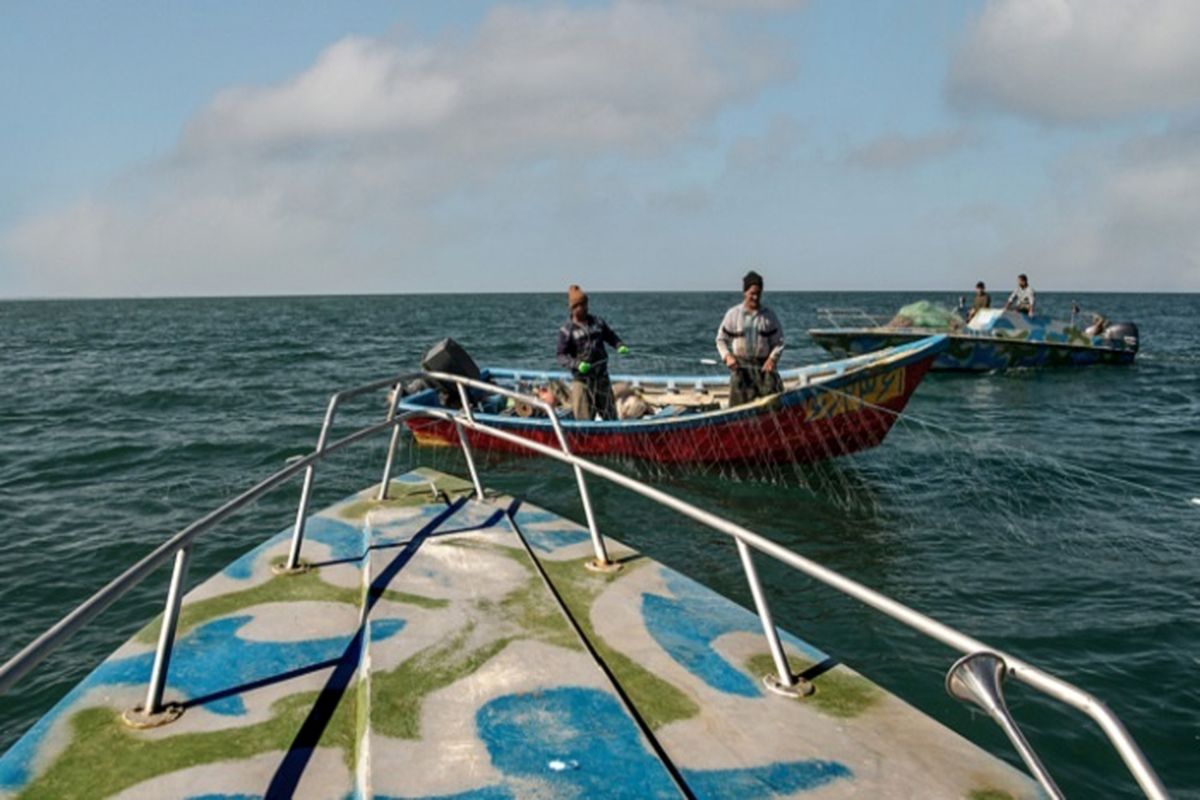 صیدماهی استخوانی