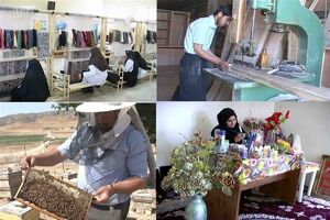 طرح های ابتکاری نخبگان عرصه مشاغل روستایی حمایت می شوند