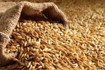 بیش از ۳۰ هزار میلیارد ریال باقیمانده مطالبات کشاورزان خوزستانی به زودی پرداخت می‌شود
