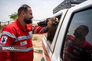 مانور سگ‌های نجات هلال احمر