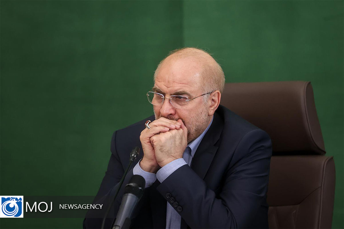 رئیس مجلس شورای اسلامی