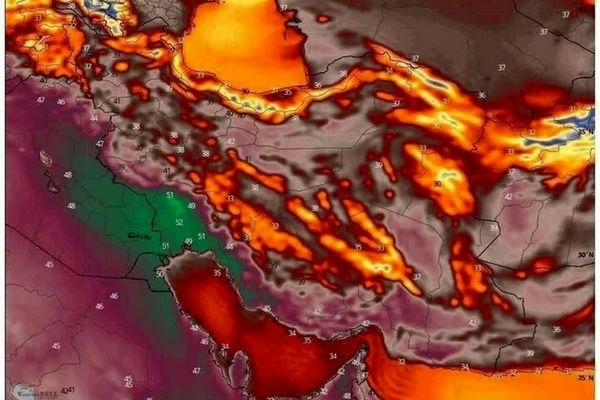 سازمان حفظ نباتات کشور در خصوص موج جدید گرما و اهمیت پایش و مبارزه با آفات در بخش کشاورزی اطلاعیه صادر کرد