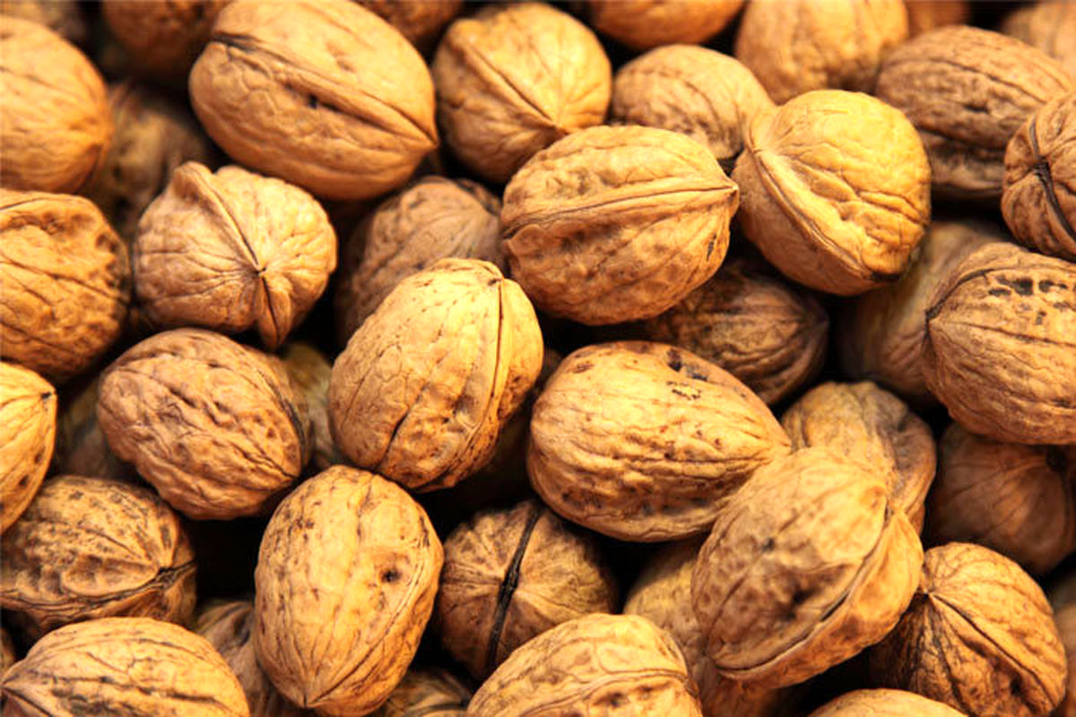 گردوی قاچاق