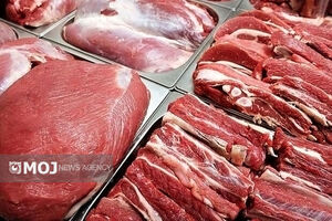 وزارت جهاد کشاورزی مسیر خودکفایی در گوشت قرمز را آغاز کرد