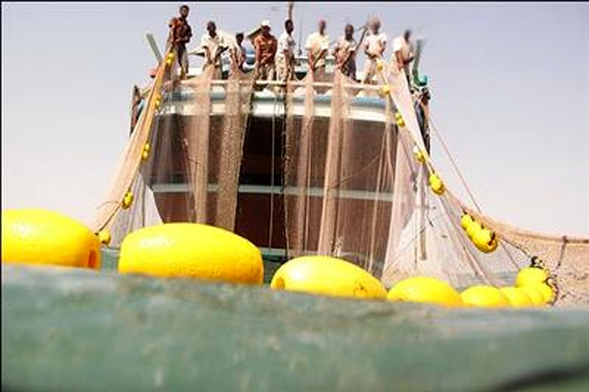 صید فانوس ماهیان در اقیانوس هند