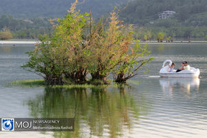 حال و هوای تالاب استیل آستارا