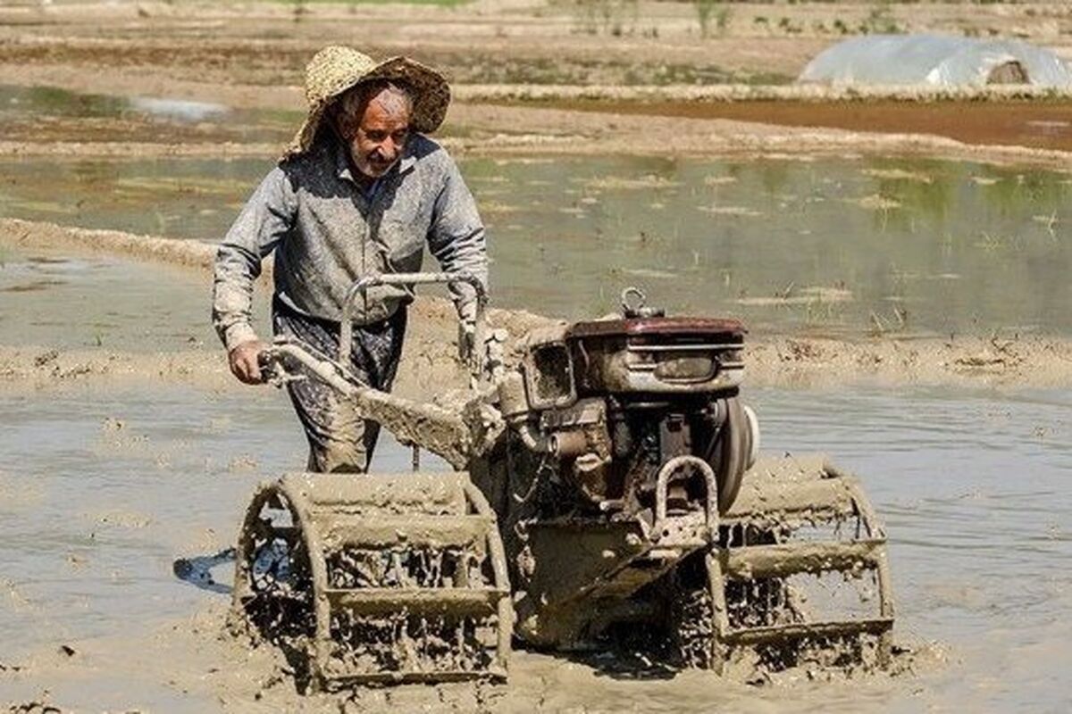 جهاد کشاورزی گیلان