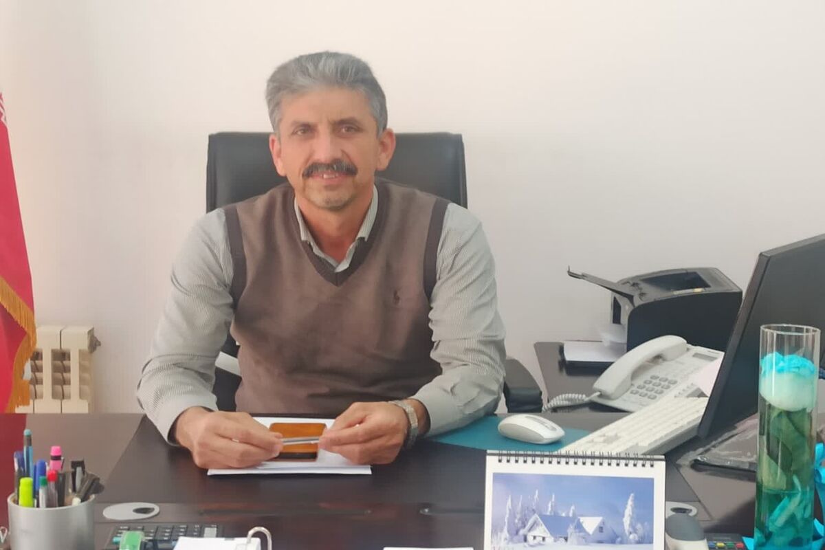 بیگی