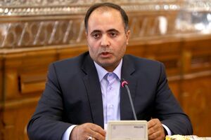 "طرح صیانت" سفارش بیرون از مجلس بود/طراحان به موضوعات اقتصادی و فنی طرح بی‌تفاوت بودند