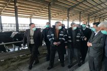 امیدوارم در آینده نزدیک در زمینه تولید نهاده های دامی به خودکفایی برسیم