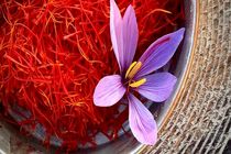 پیش بینی تولید ۴۰۰ کیلوگرم زعفران در نی ریز