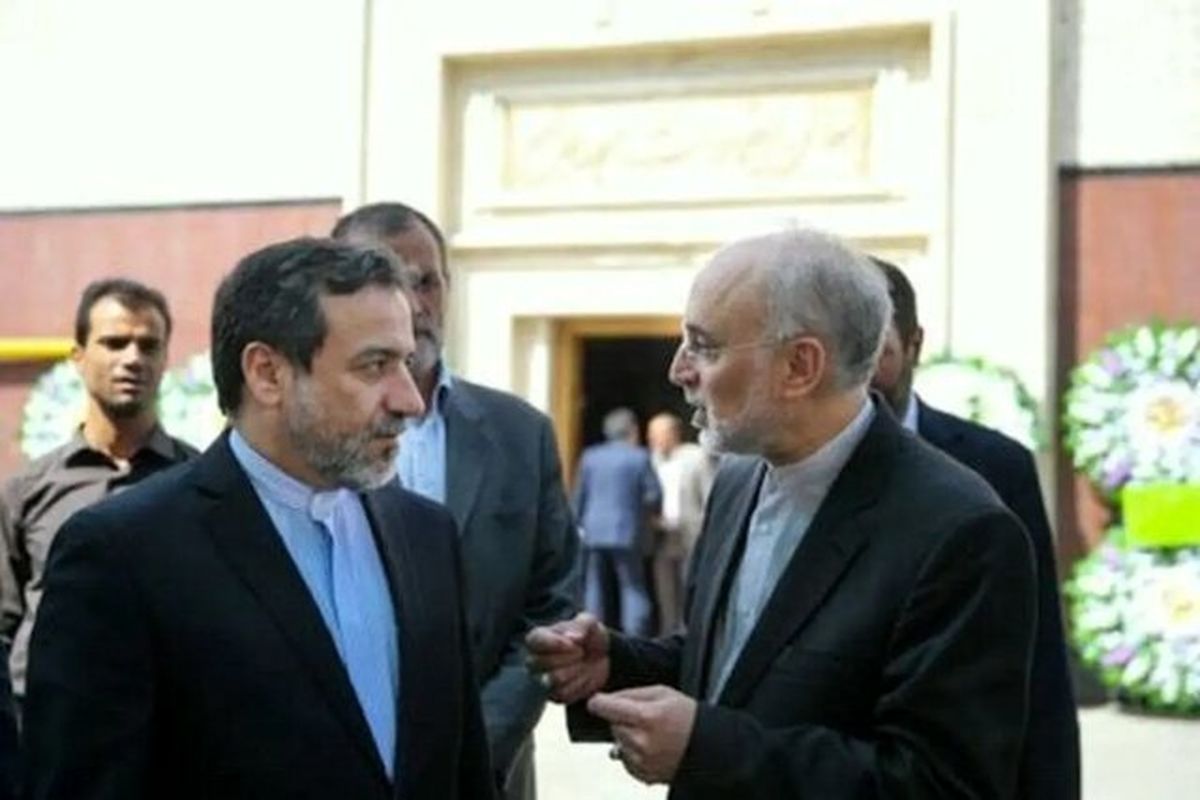 عراقچی و صالحی