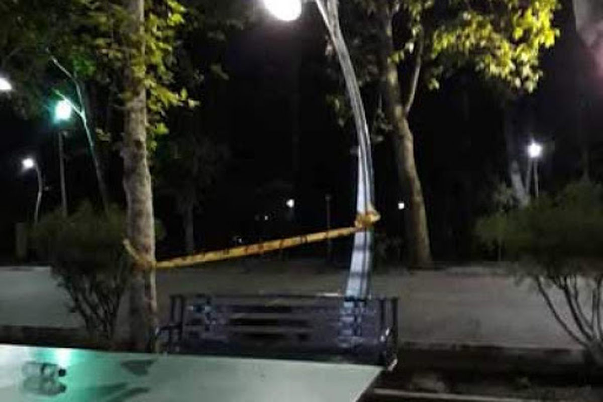 مرگ نوجوان 14 ساله در پارک لاله