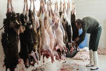 گوشت قربانی چه مدت در یخچال نگهداری شود؟