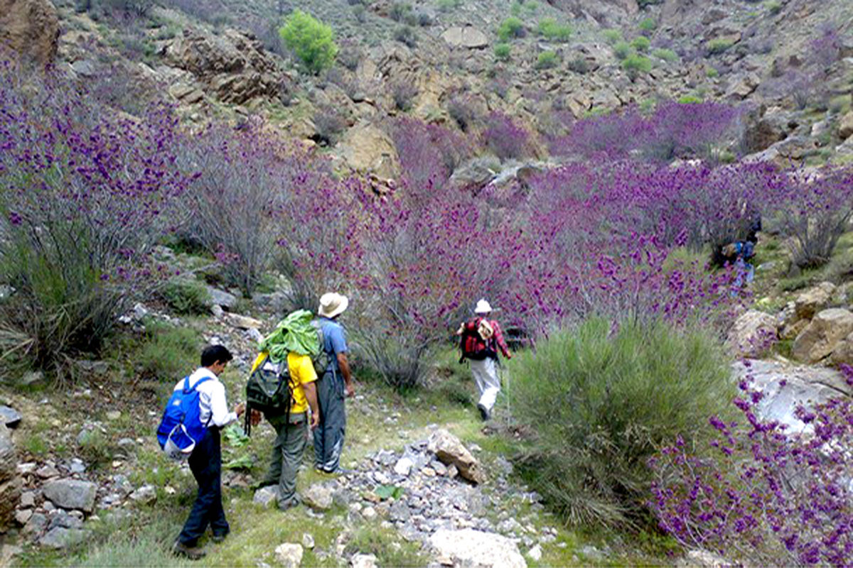  گردشگران ایام نوروز