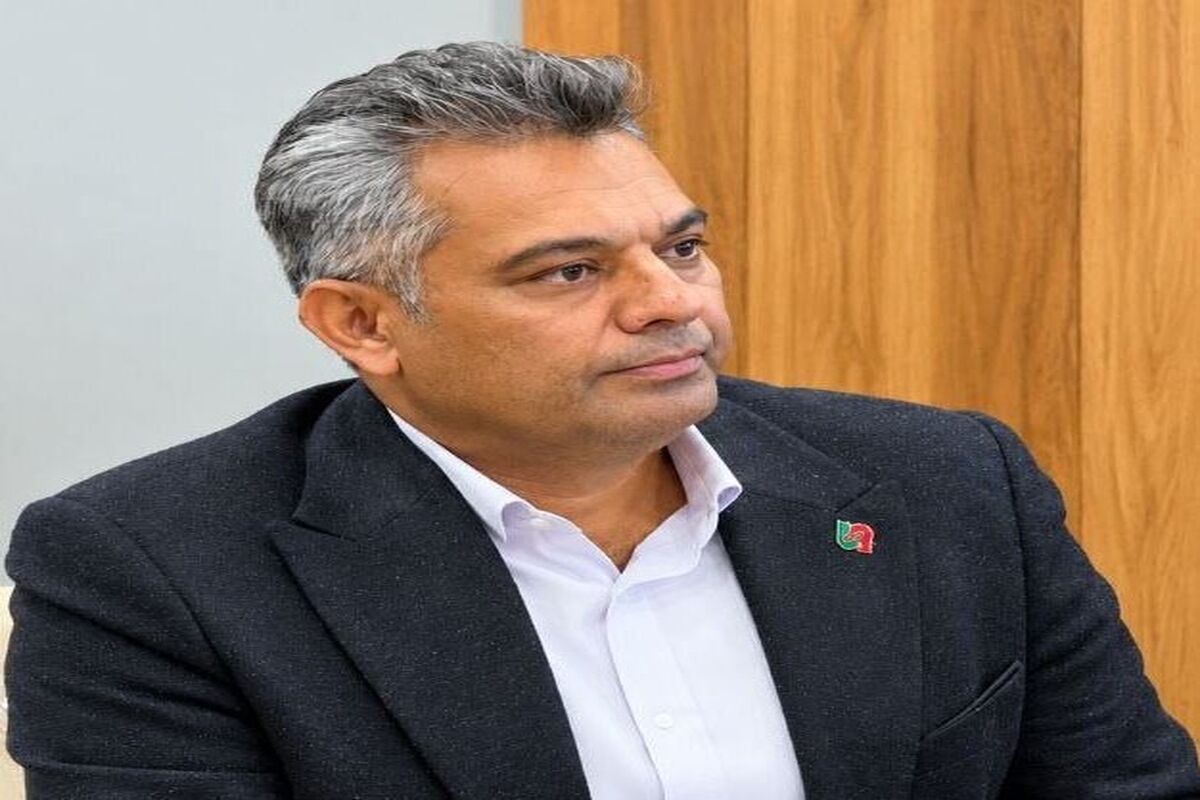 محسن رکنی