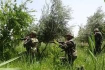 نیروهای مقاومت اسلامی شماری از تروریست ها را به هلاکت رساندند