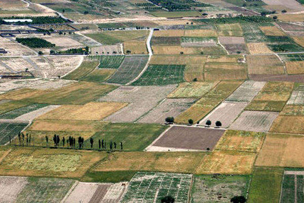 ۷ میلیون هکتار اراضی کشاورزی ایران سنددار شد/ممنوعیت تغییر کاربری اراضی مرغوب کشاورزی