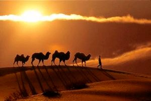 واکاوی سهم استان آذربایجان غربی در احیای جاده ابریشم