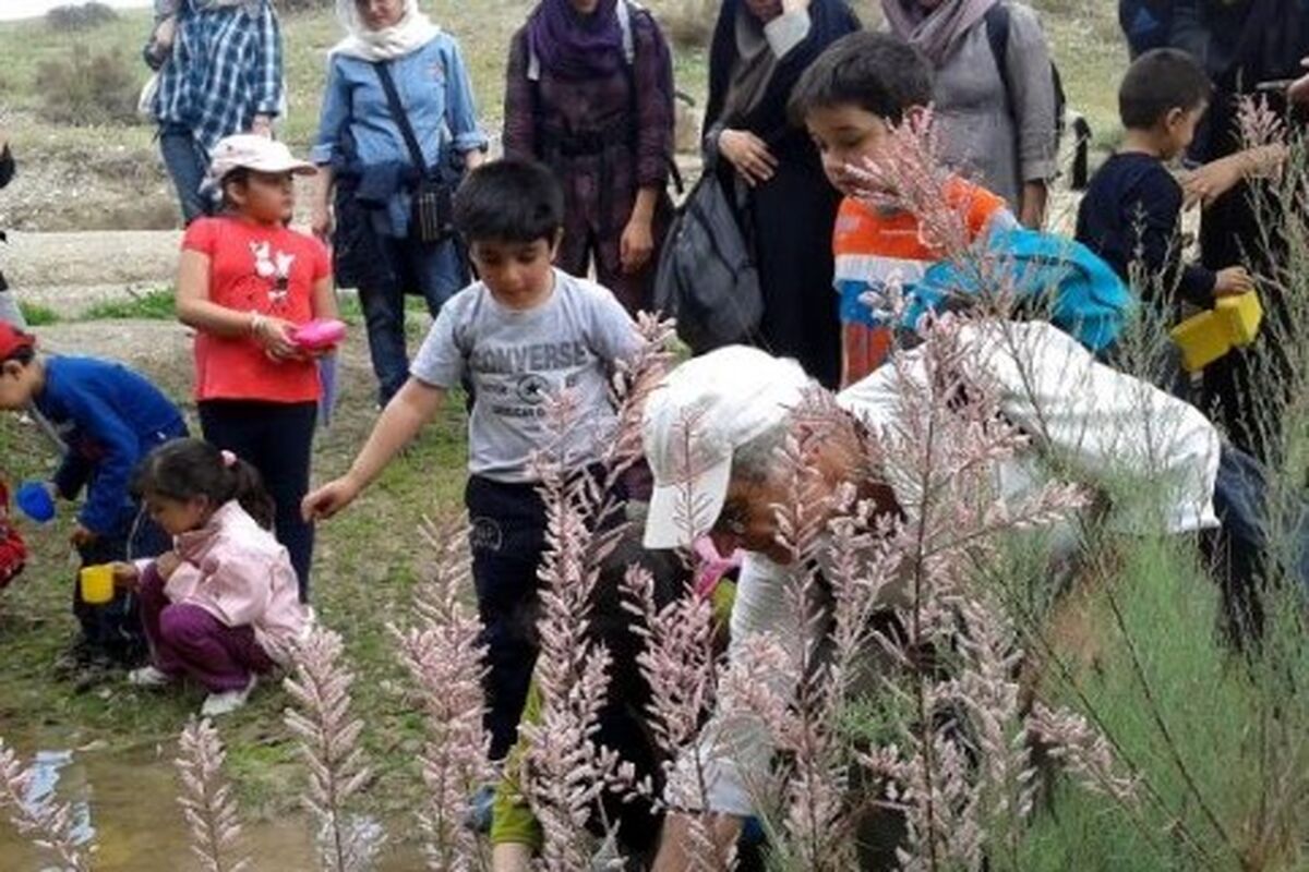 اموزش محیط زیستی